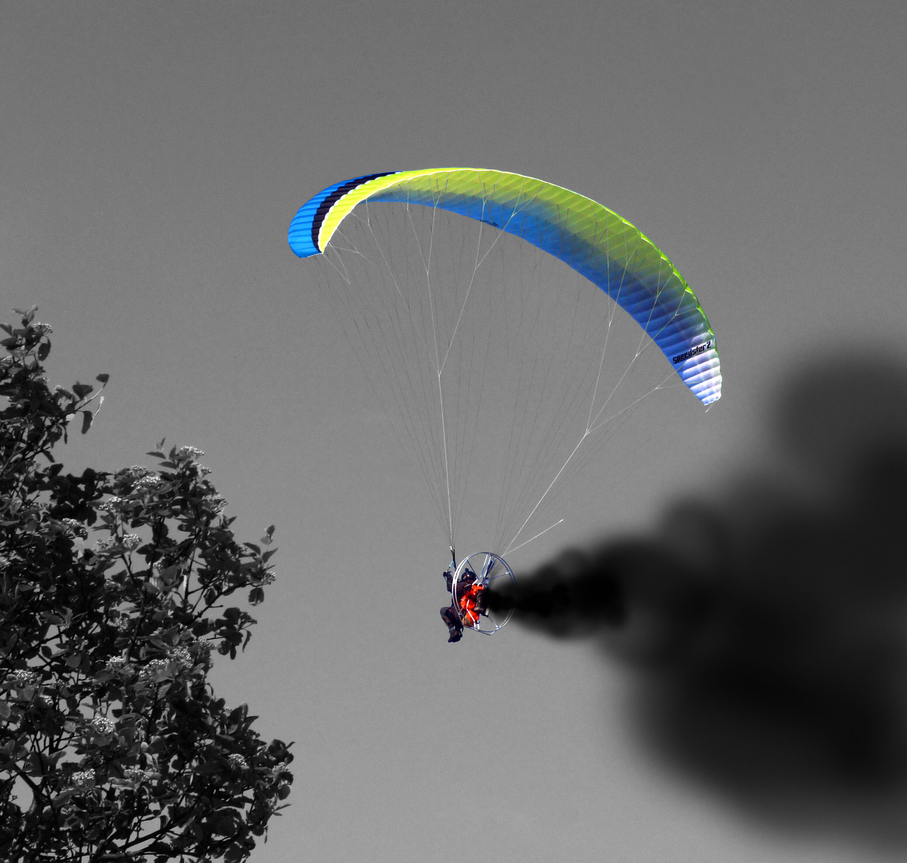 Paraglider 20x20