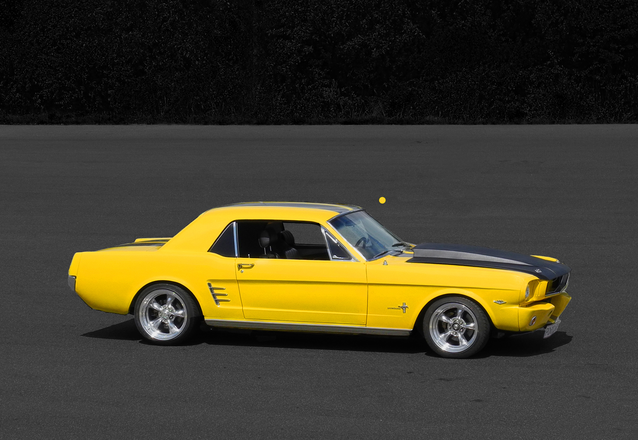 Ford Mustang 60x80